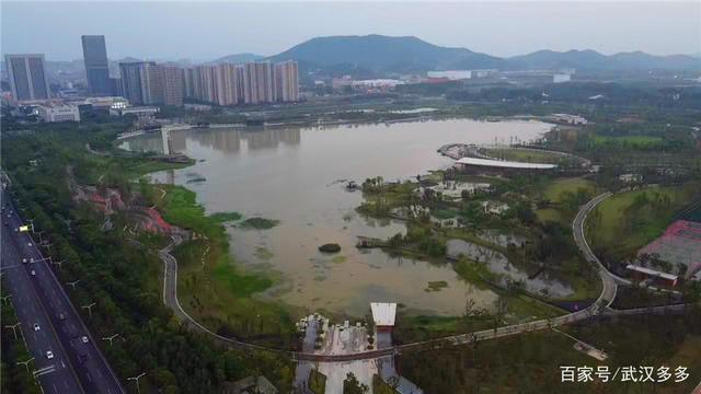 鸟瞰江夏中央大公园