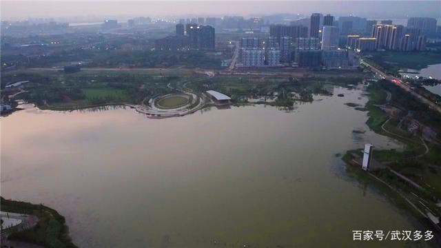 鸟瞰江夏中央大公园