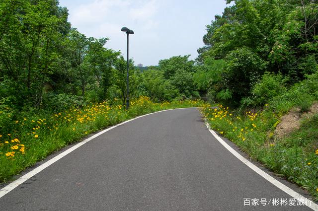 走进这里 你就是我眼中最美的一道风景 江夏环山绿道