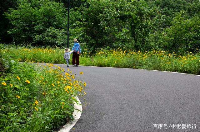 走进这里 你就是我眼中最美的一道风景 江夏环山绿道