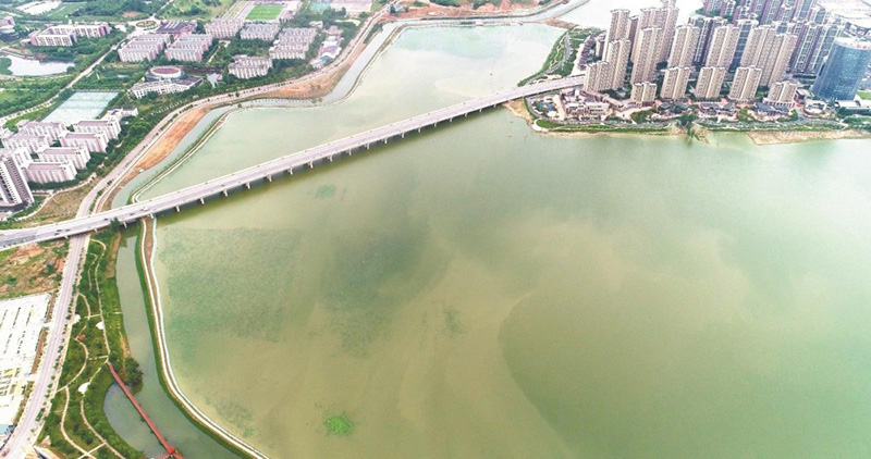 湖水无边 美景归来——江夏区湖泊治理见闻