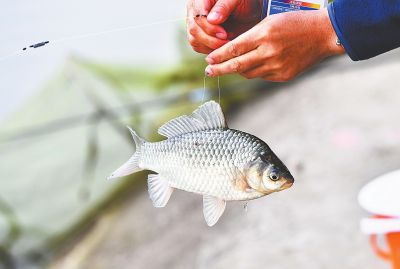 江夏高手“钓”走市运会首枚成人组金牌