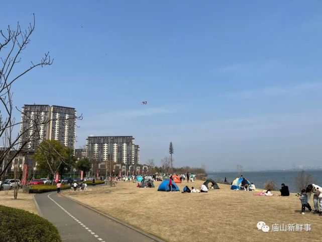 江夏庙山汤逊湖畔，这里成为露营、放风筝的好地方！