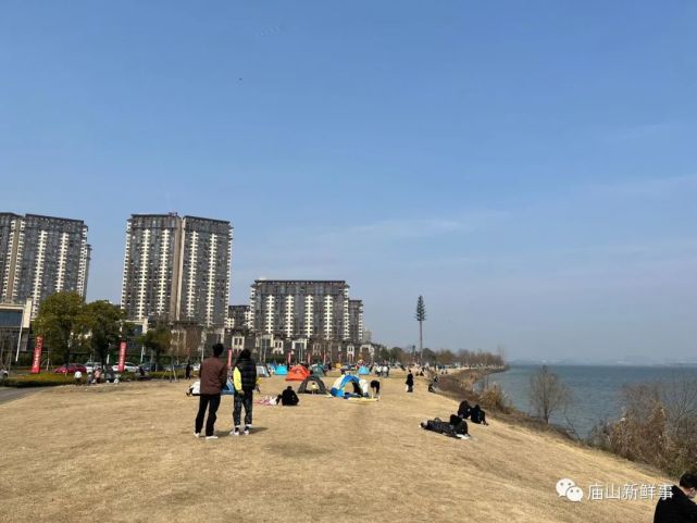 江夏庙山汤逊湖畔，这里成为露营、放风筝的好地方！