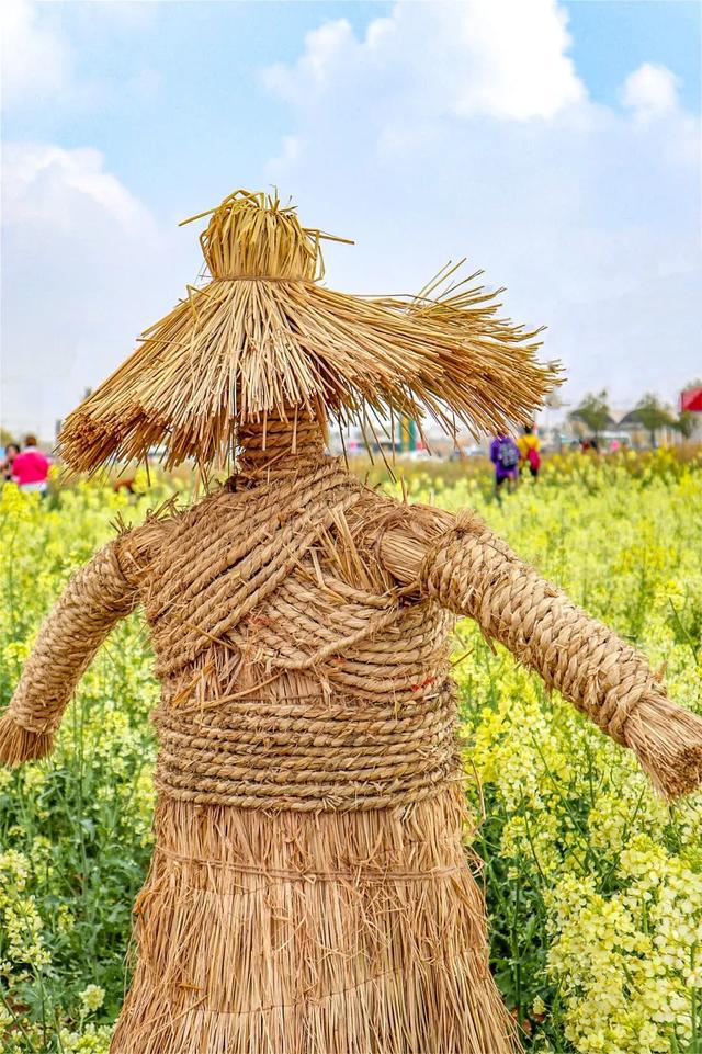 即将开幕！追风到江夏，只为这朵花……