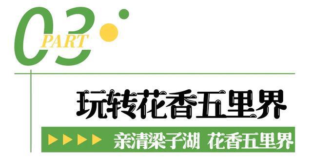 即将开幕！追风到江夏，只为这朵花……