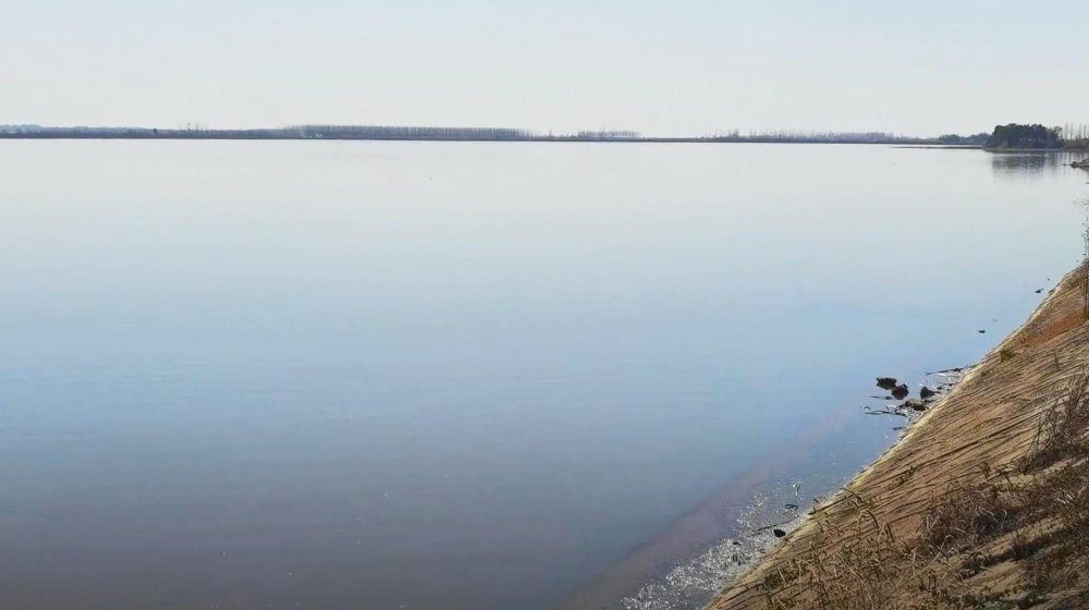 穿越武汉江夏郊区百里湖泊，骑行绿道边这条水上公路，风景秀美