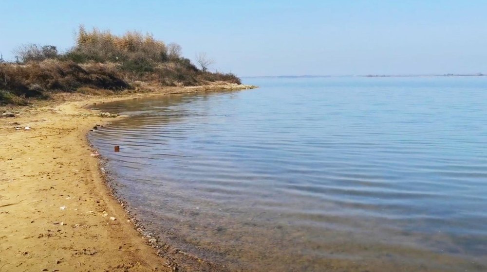 穿越武汉江夏郊区百里湖泊，骑行绿道边这条水上公路，风景秀美