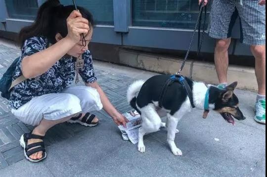 武汉出手！这些区域一律禁犬！你支持吗？