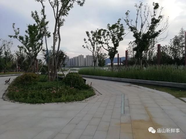 组图实拍！江夏这个公园你去过吗？风景美得如一幅画！