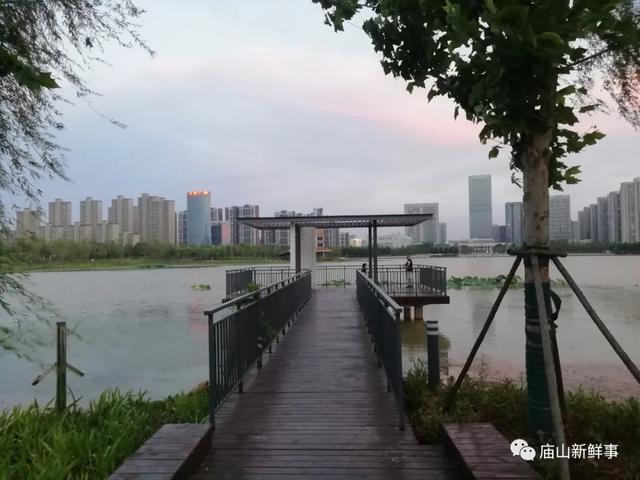 组图实拍！江夏这个公园你去过吗？风景美得如一幅画！