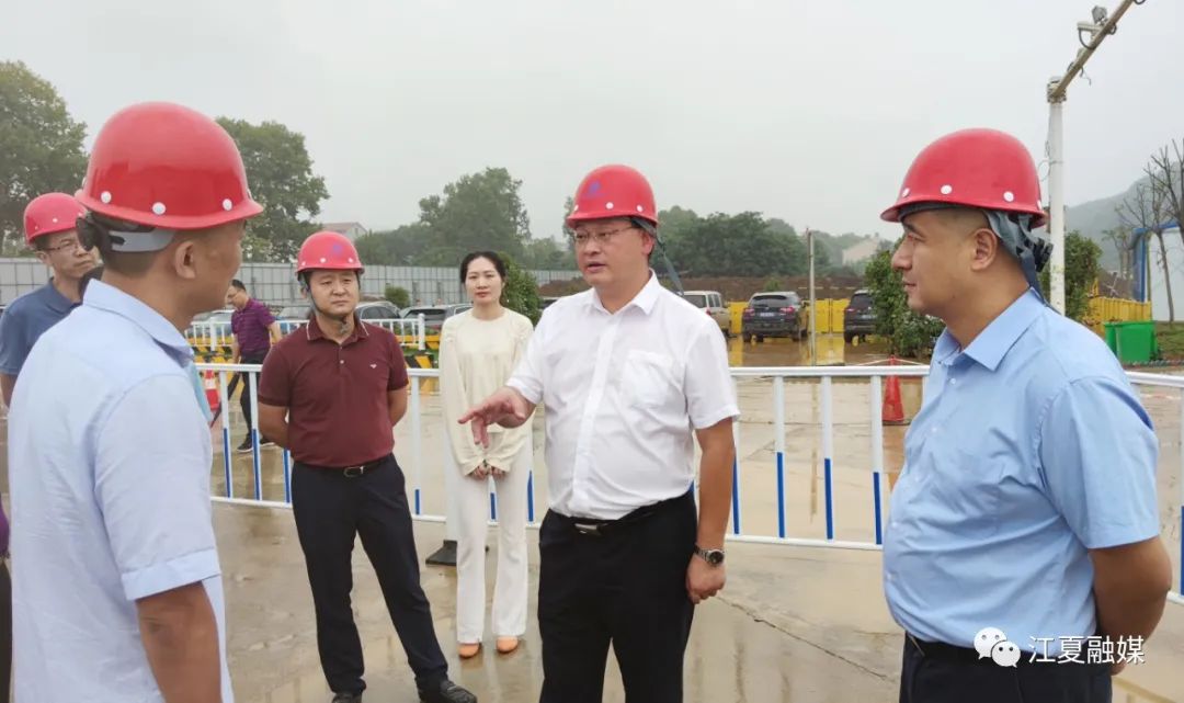 江夏区委书记王清华调研光谷南大健康产业园 现场推进园区建设工作