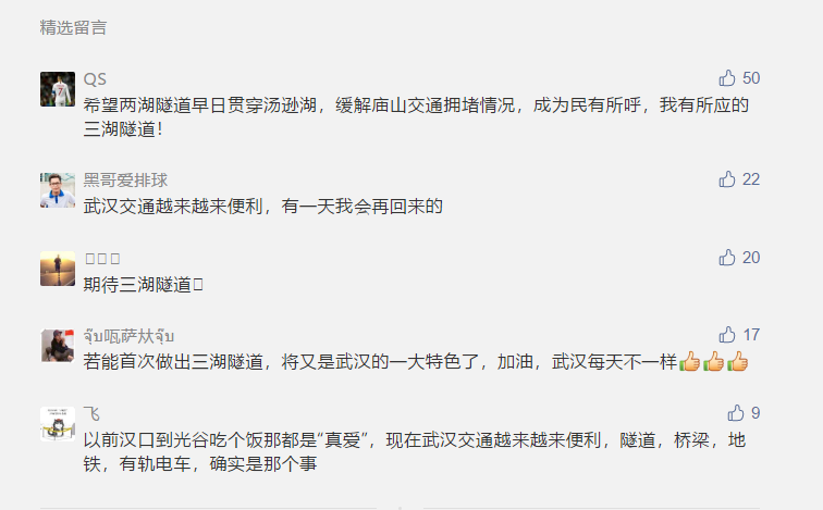 重磅！武汉“两湖隧道”有可能延伸至江夏，目前正在可行性研究！