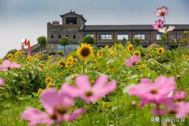 江夏两家农家乐被评为全市四星级农家乐