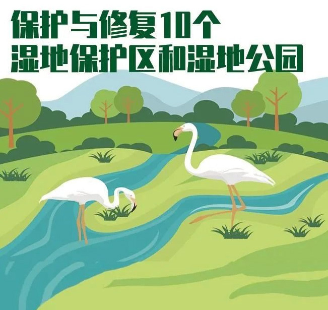 武汉全面打造“湿地花城”！江夏今年将新改建这些地方……