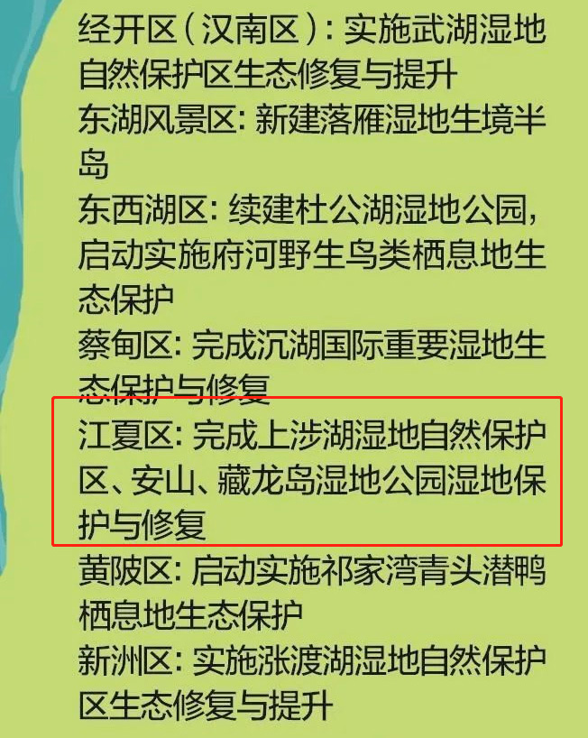 武汉全面打造“湿地花城”！江夏今年将新改建这些地方……