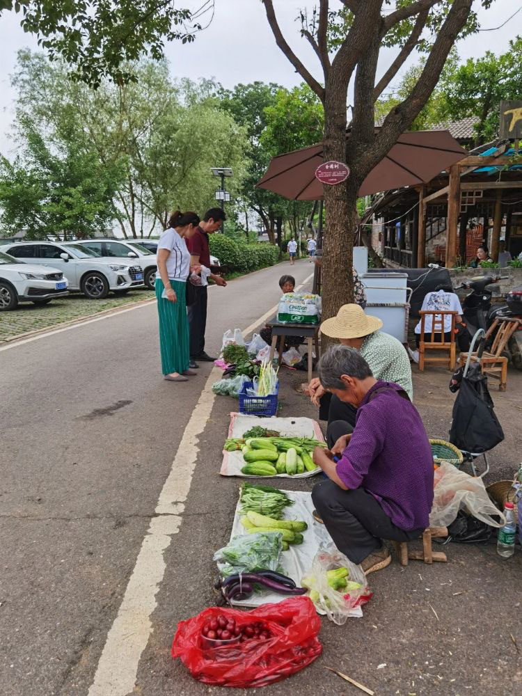 在武汉市江夏区，靠近梁子湖几公里的地方，有一个美丽乡村——小朱塆